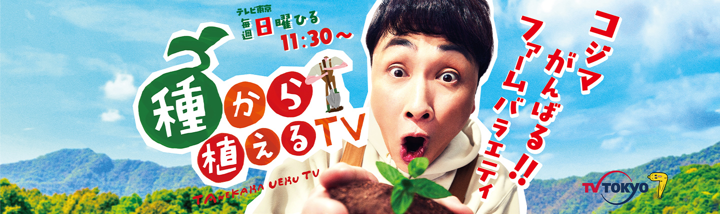 mainvisual_bg